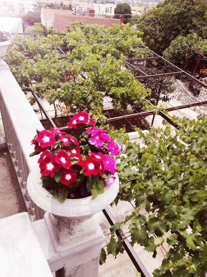 Nemanja Apartment Требине Екстериор снимка